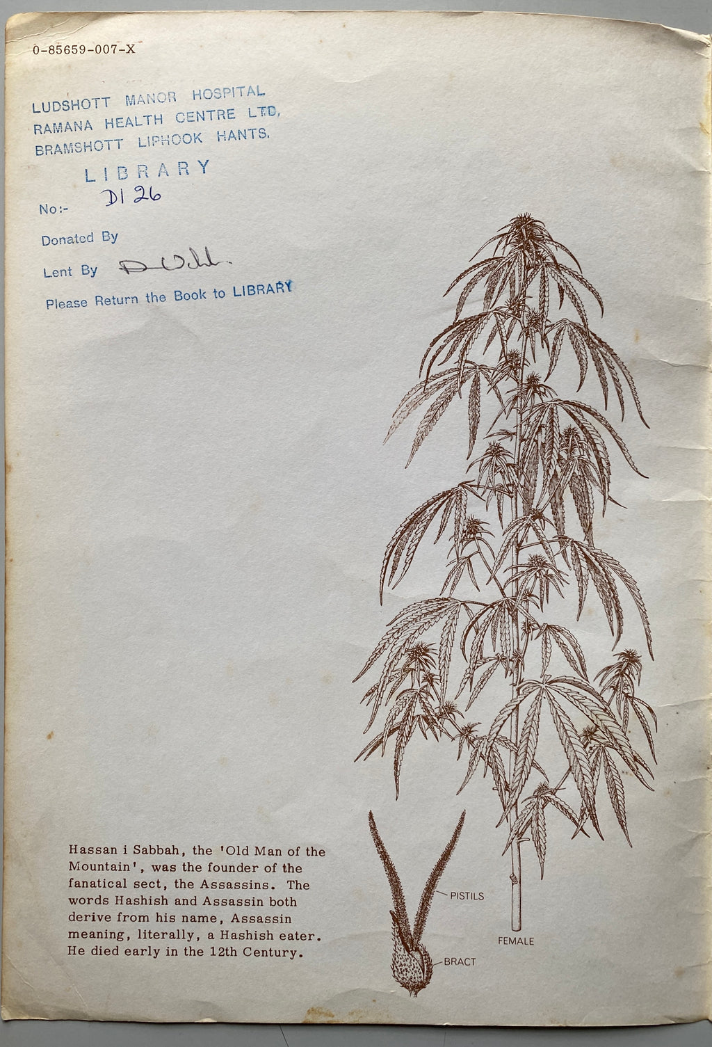 Leaves of Grass A Compendium of Marijuana