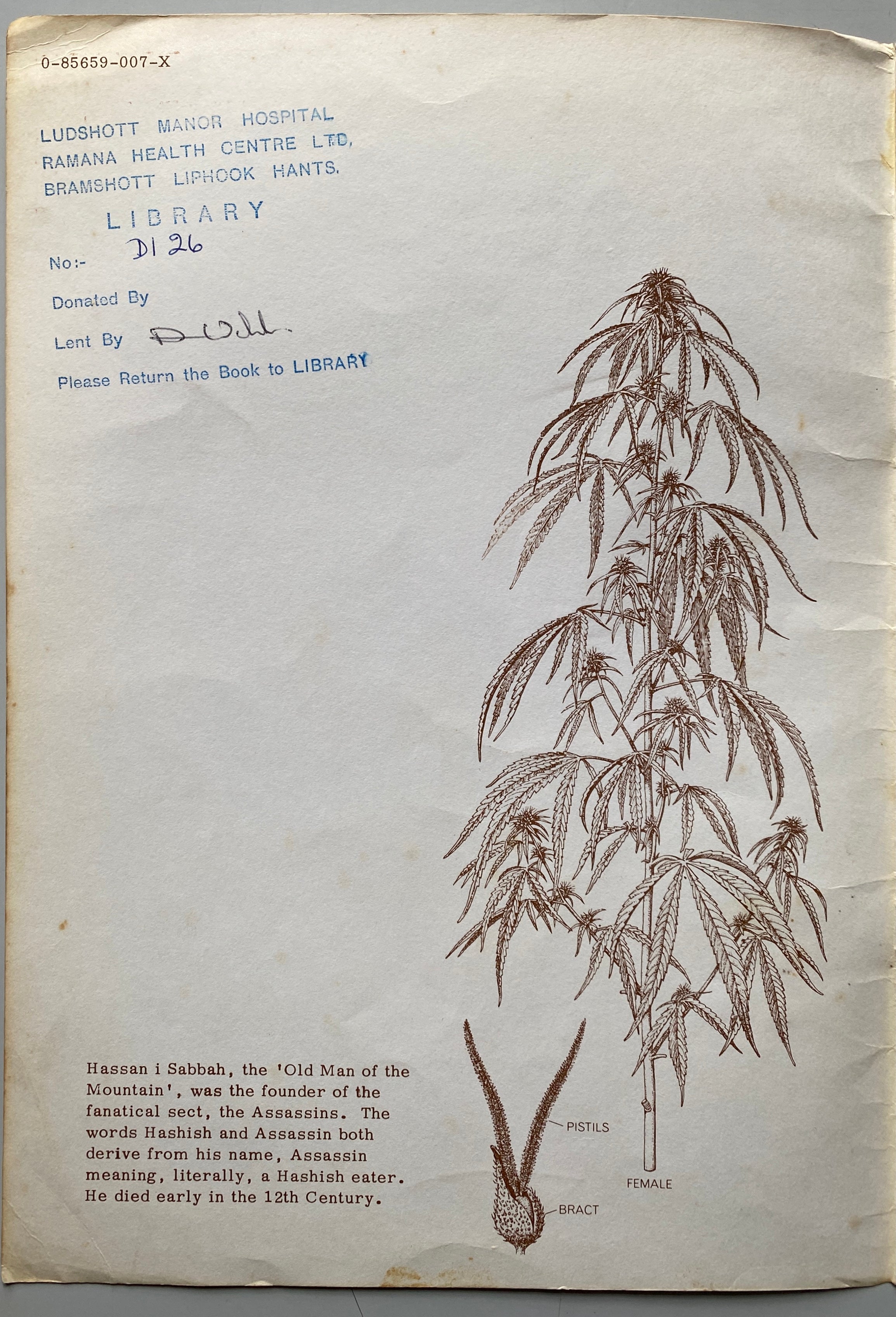 Leaves of Grass A Compendium of Marijuana