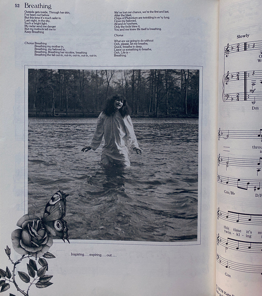 The Best of Kate Bush