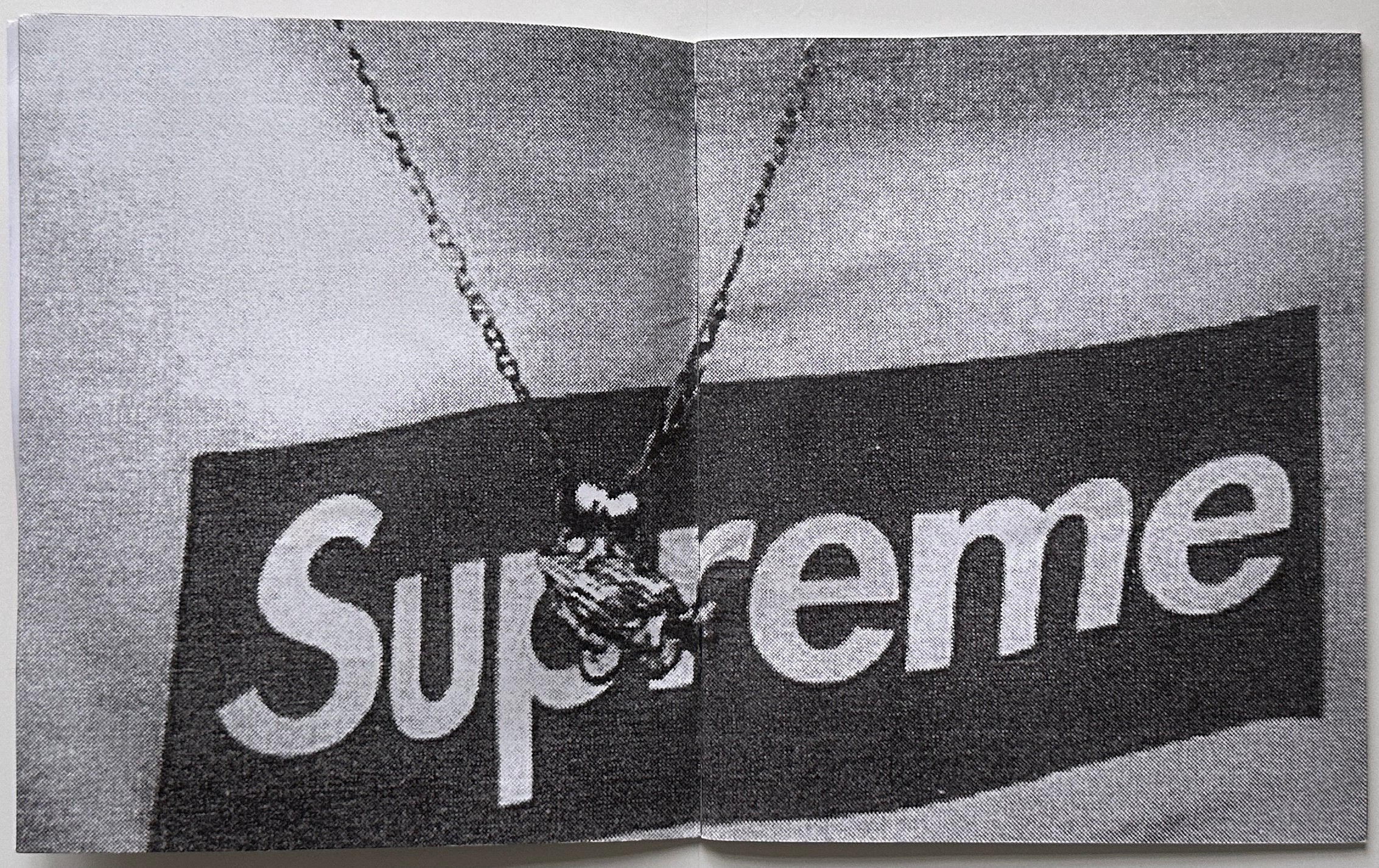 Supreme Paris
