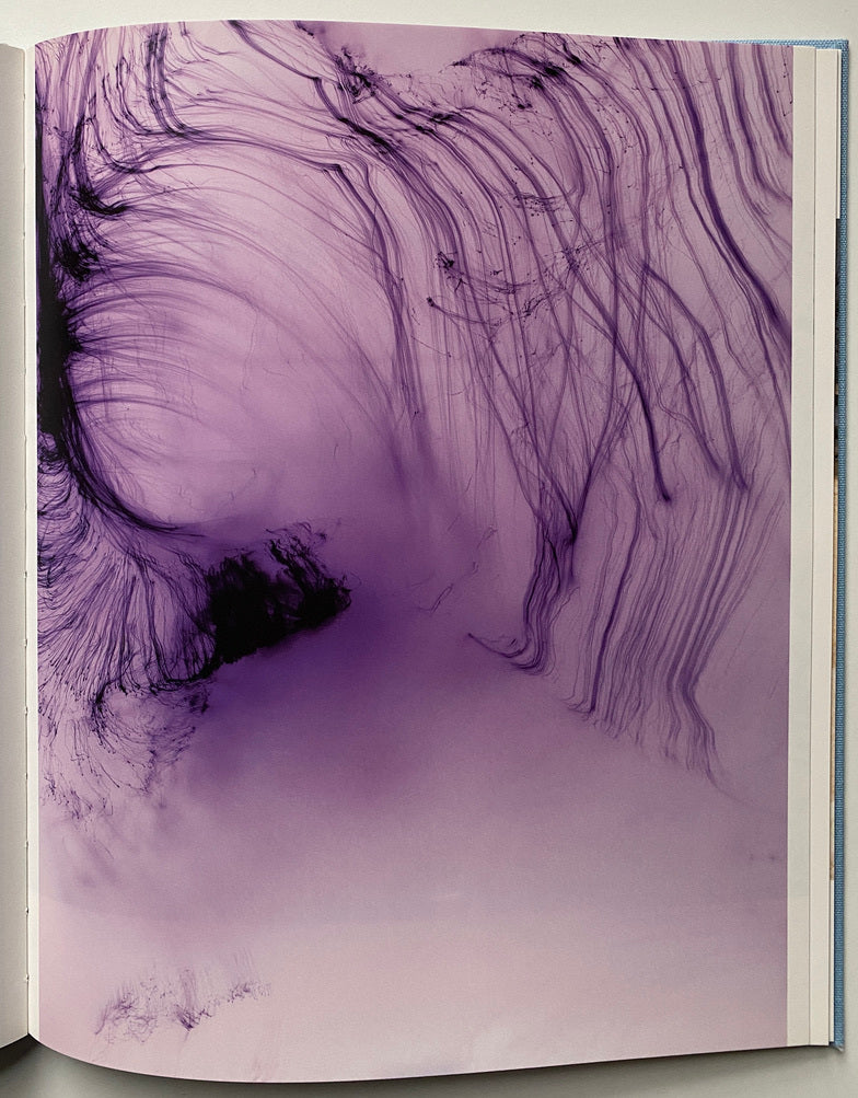 Wolfgang Tillmans Freedom from Known