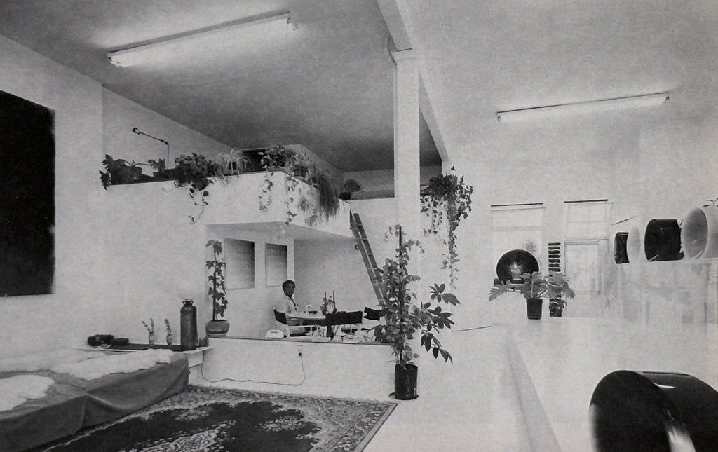 Rescued Buildings
