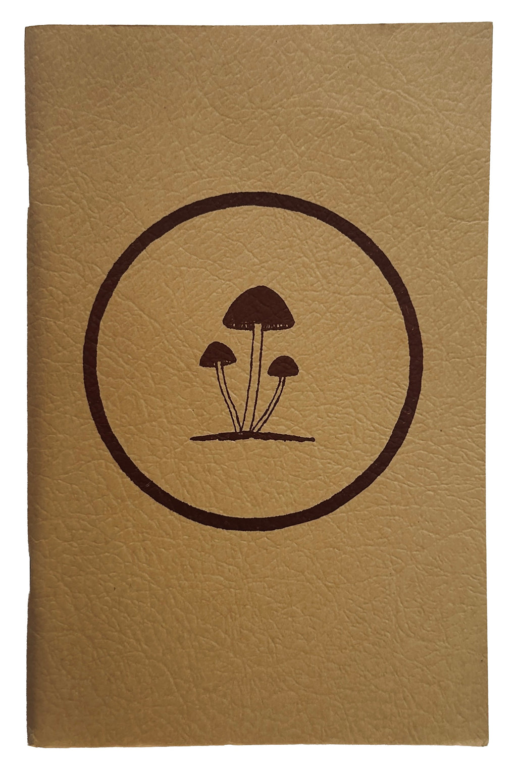 A Key To The American Psilocybin Mushroom