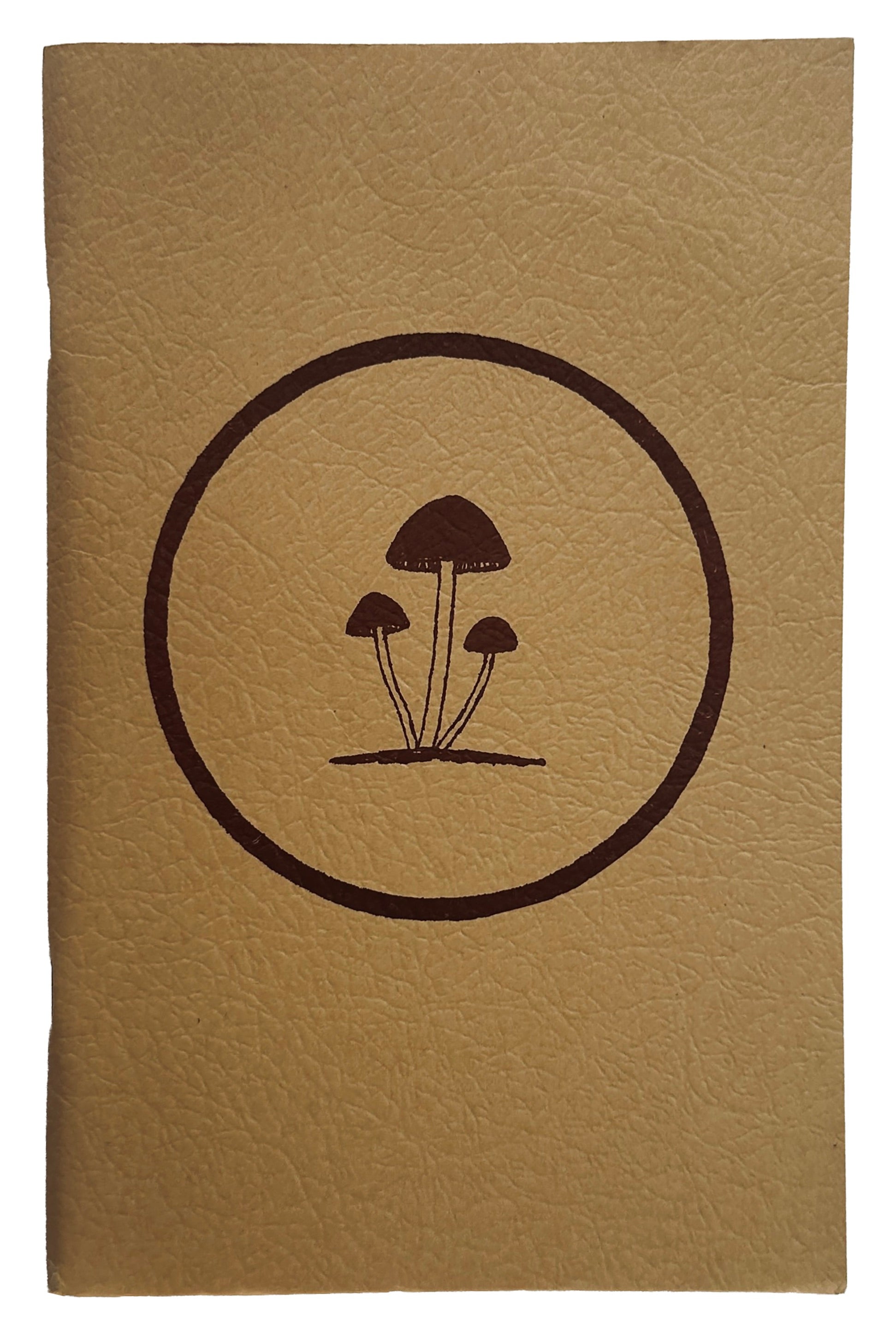 A Key To The American Psilocybin Mushroom