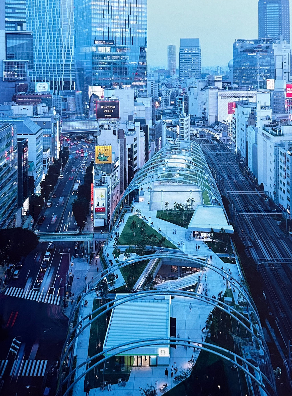 [SIGNED] TAKASHI HOMMA TOKYO OLYMPIA