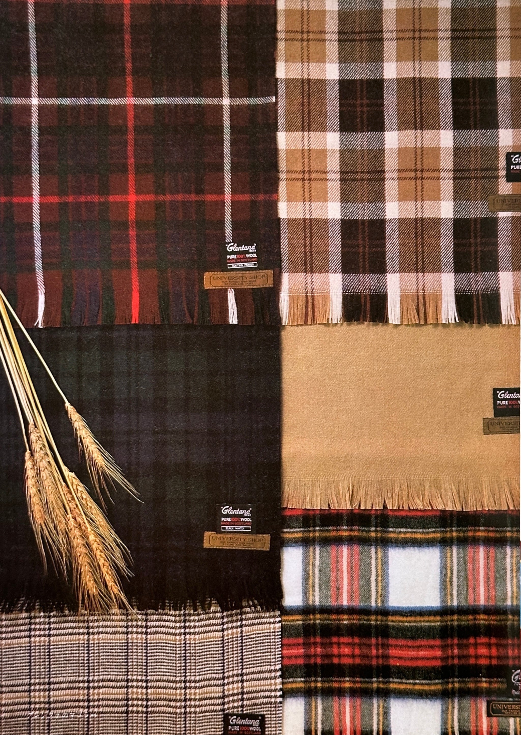 Traditional Fashion