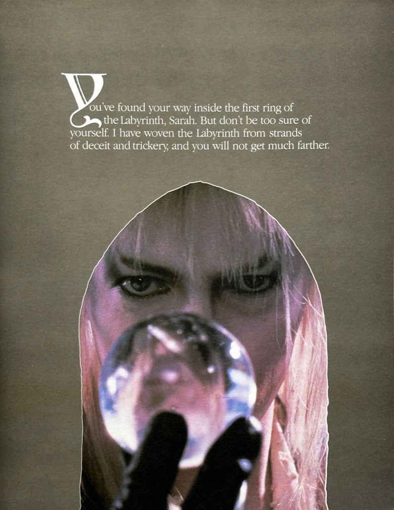 Labyrinth The Photo Album