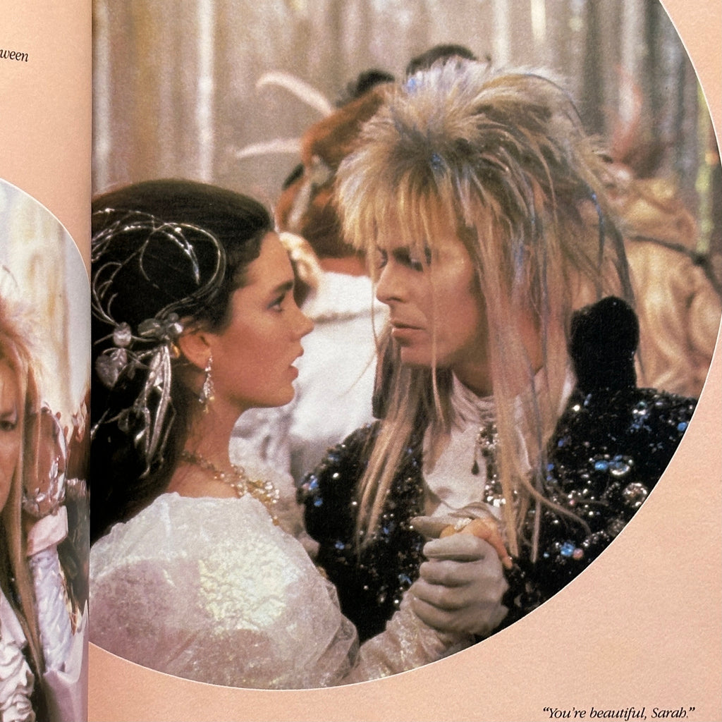 Labyrinth The Photo Album