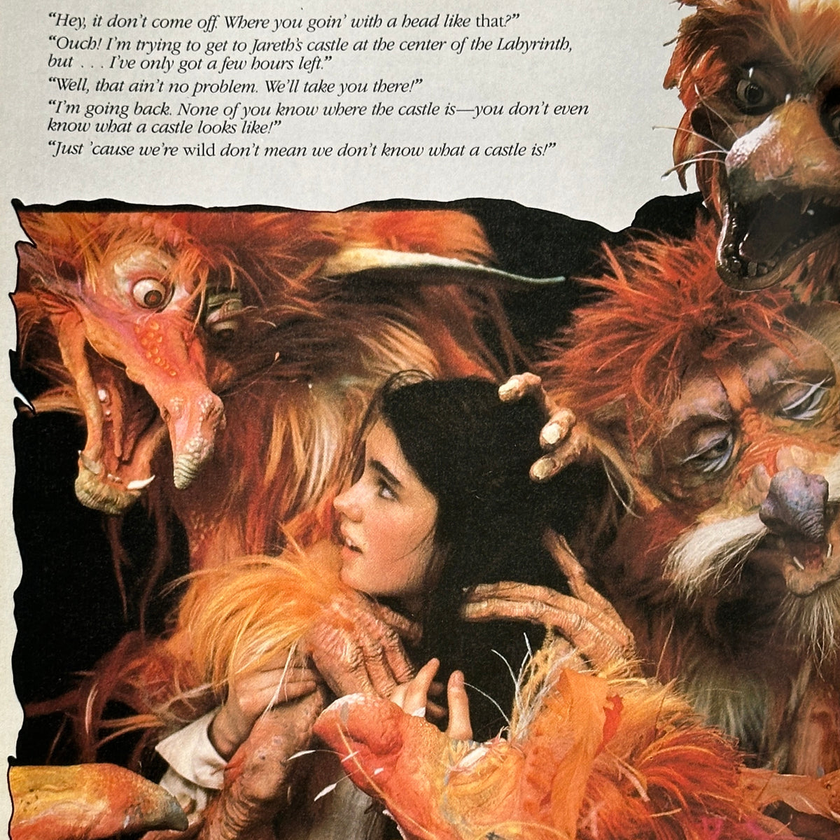 Labyrinth The Photo Album