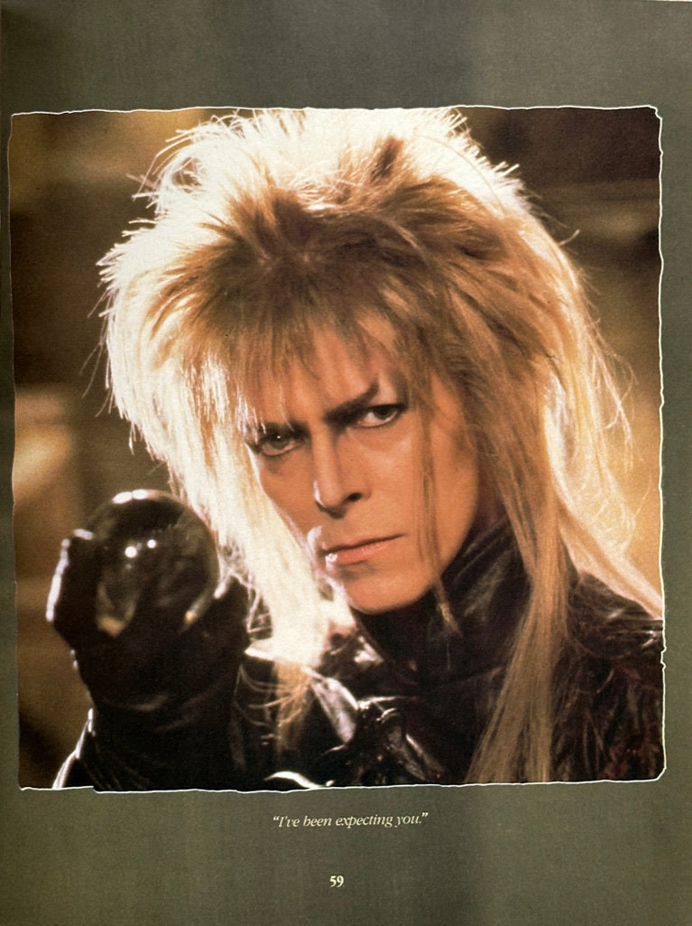 Labyrinth The Photo Album