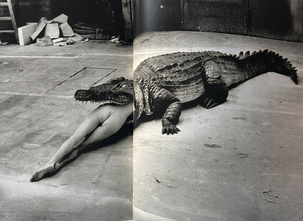 Helmut Newton Selections