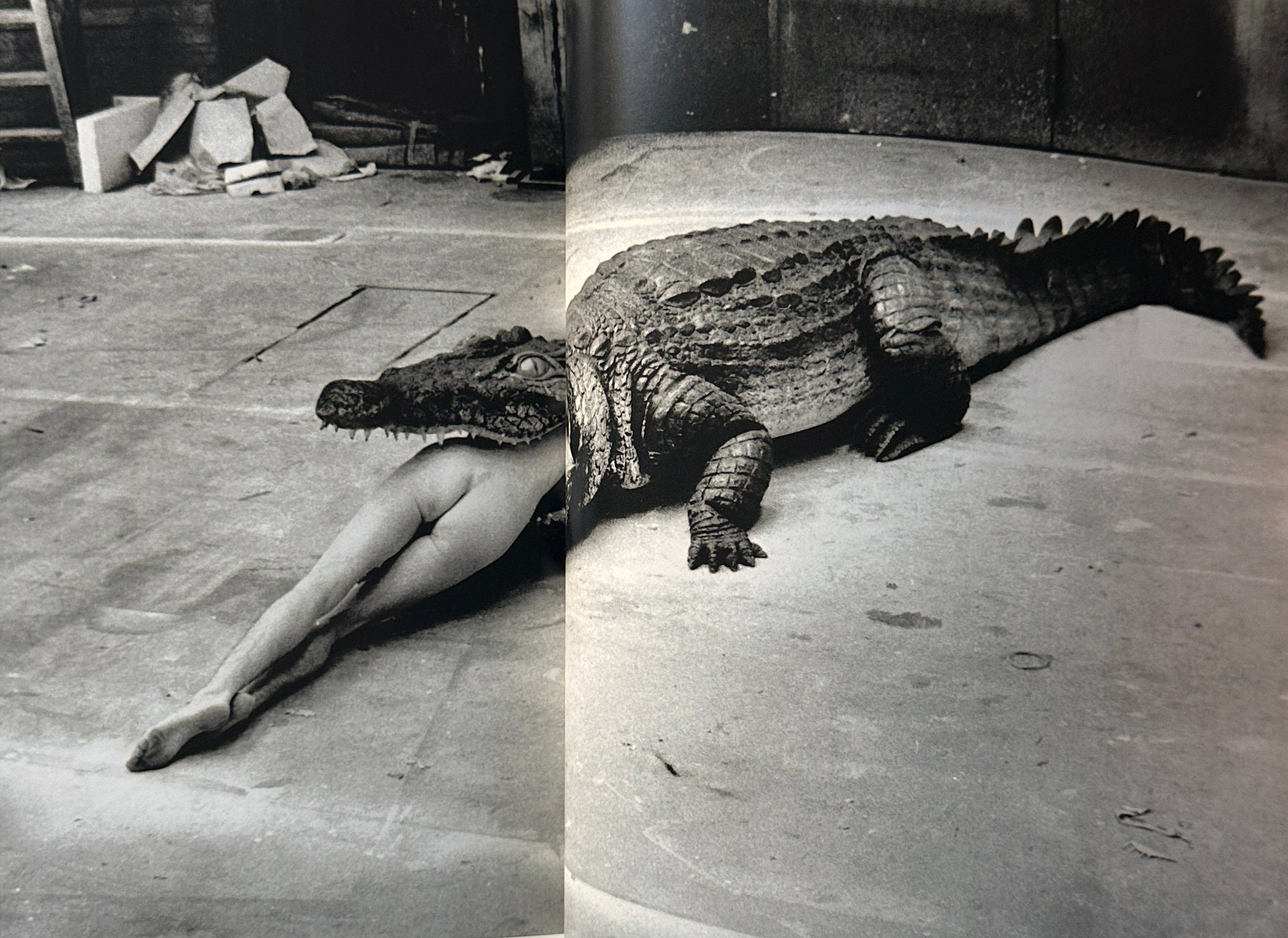 Helmut Newton Selections