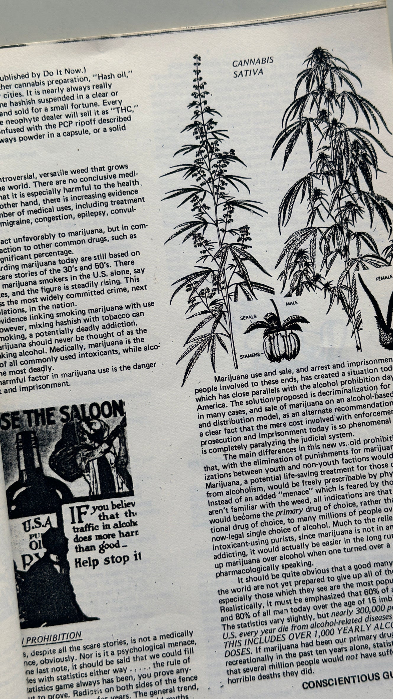 Conscientious Guide to Drug Abuse