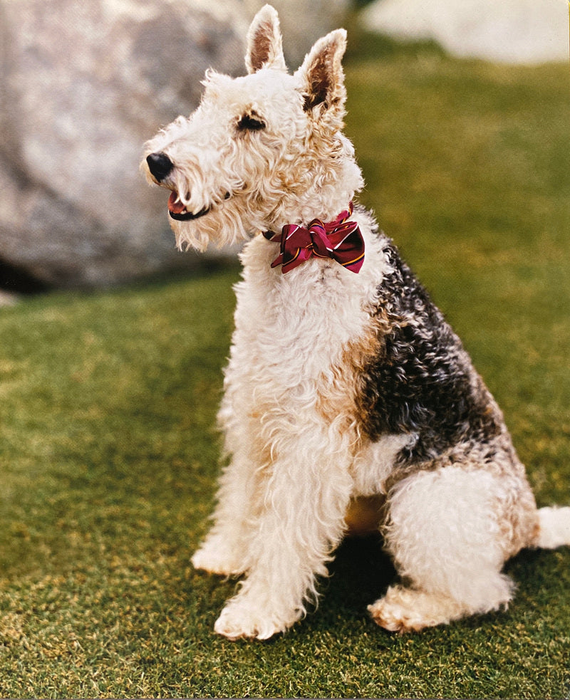 Polo Ralph Lauren Double Spring 2005