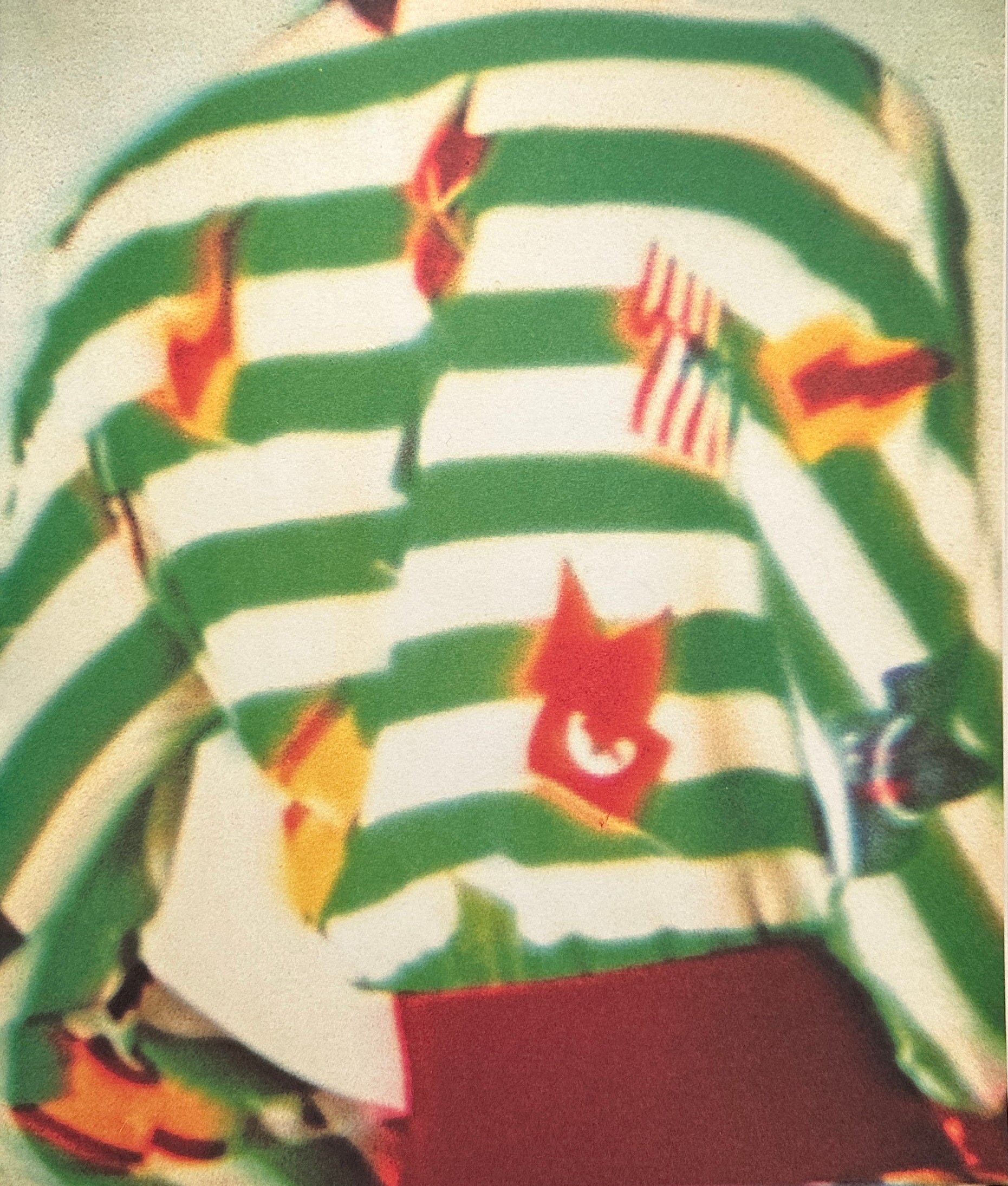 Walter Albini Carla Sozzani