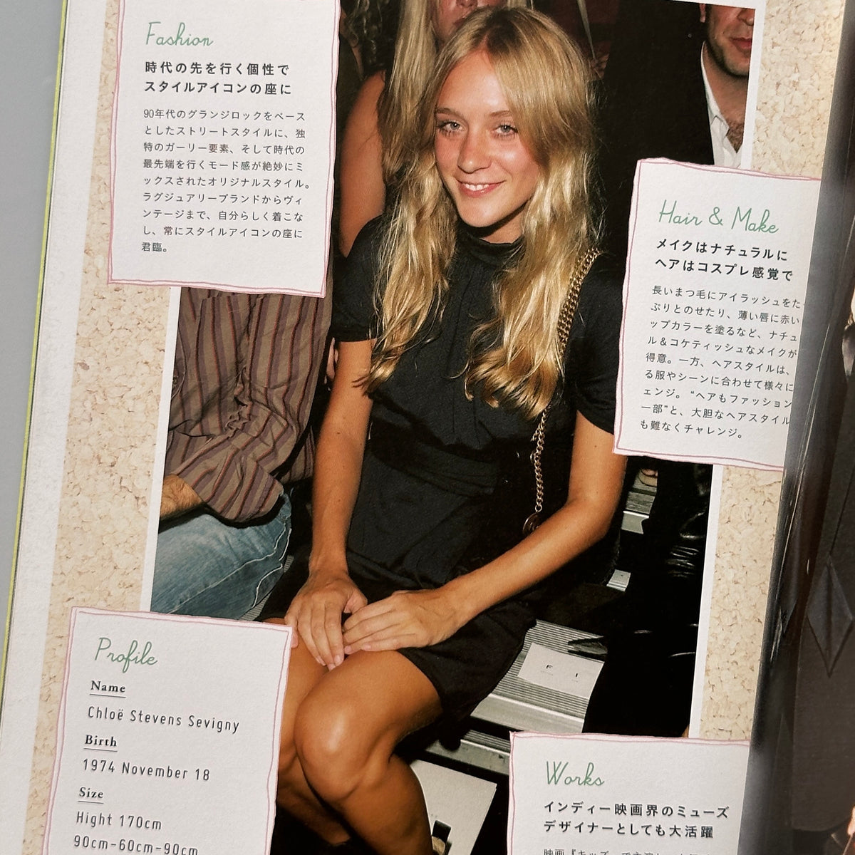 Chloe Sevigny Perfect Style