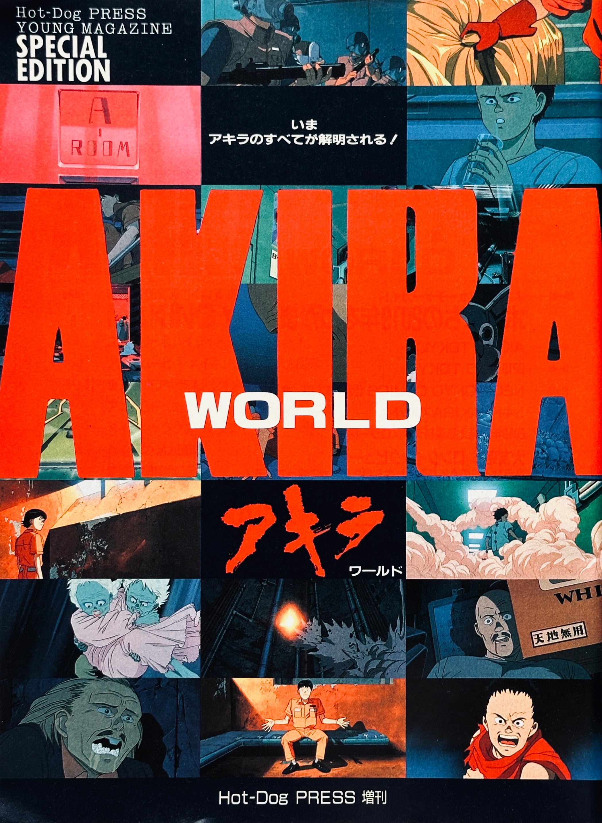 Akira World