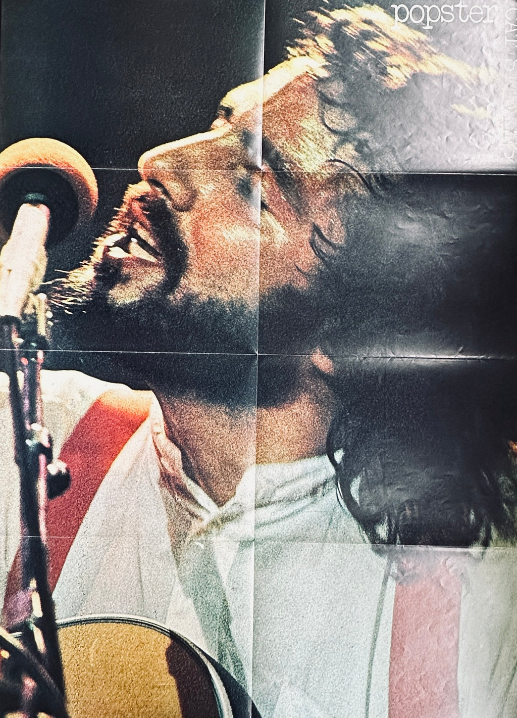 Popster Nº 6 Cat Stevens