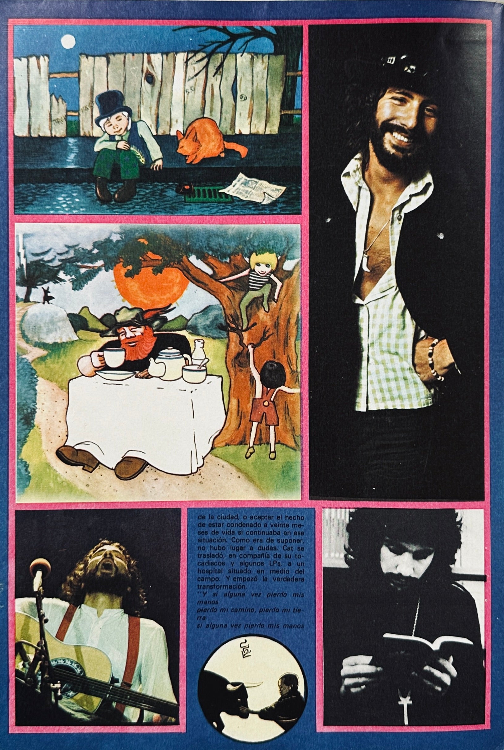Popster Nº 6 Cat Stevens