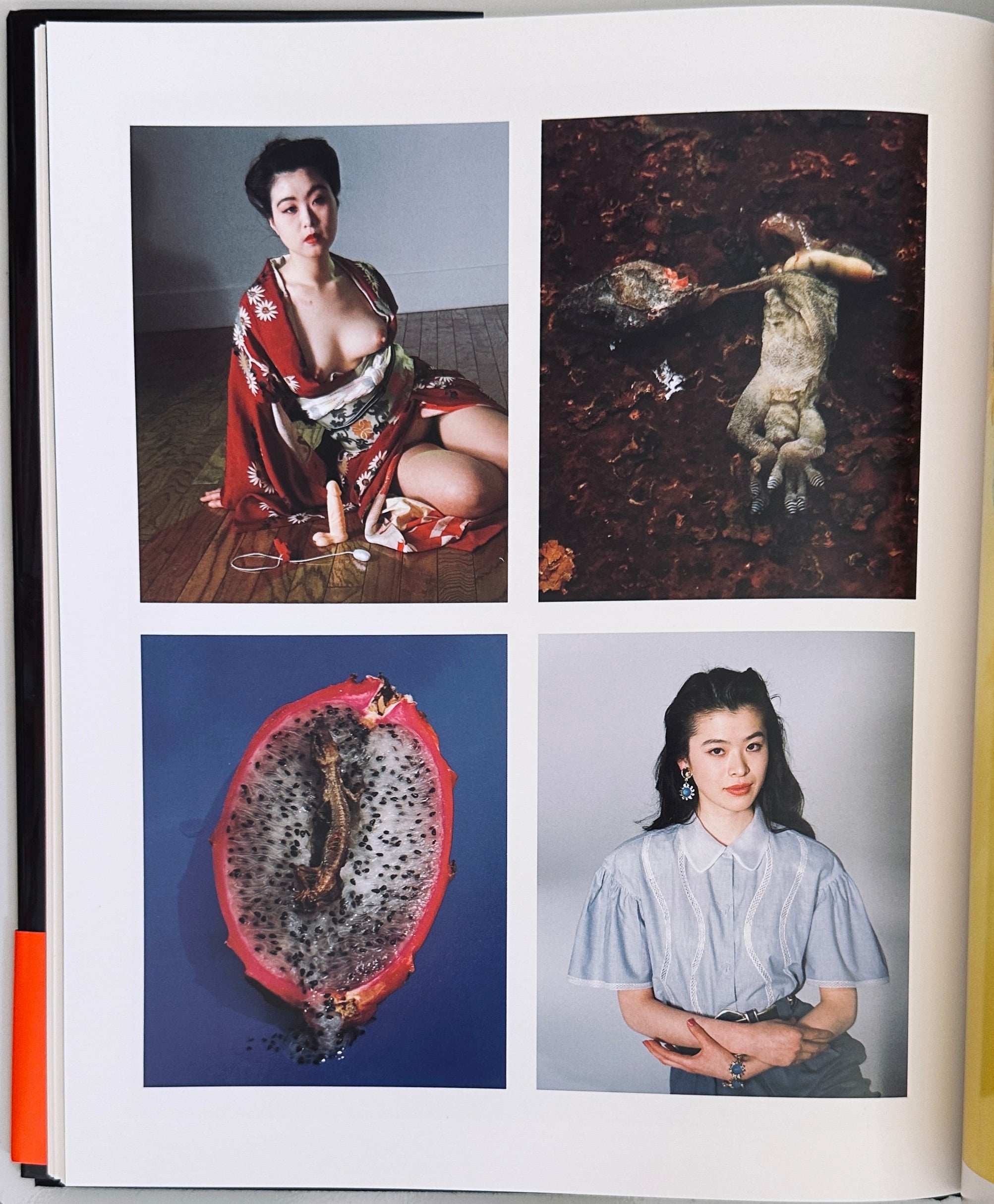 Nobuyoshi Araki Shikikei