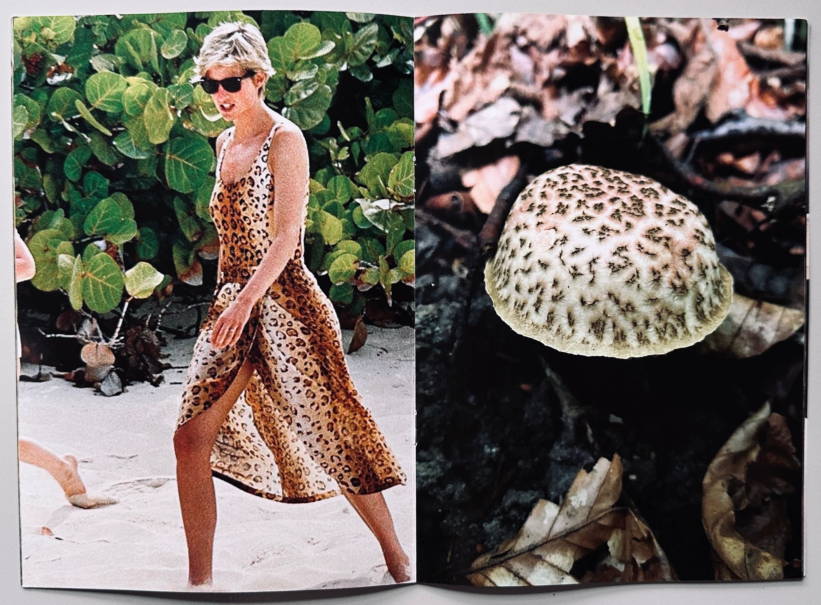 Princess Diana as Mushrooms Volume 2
