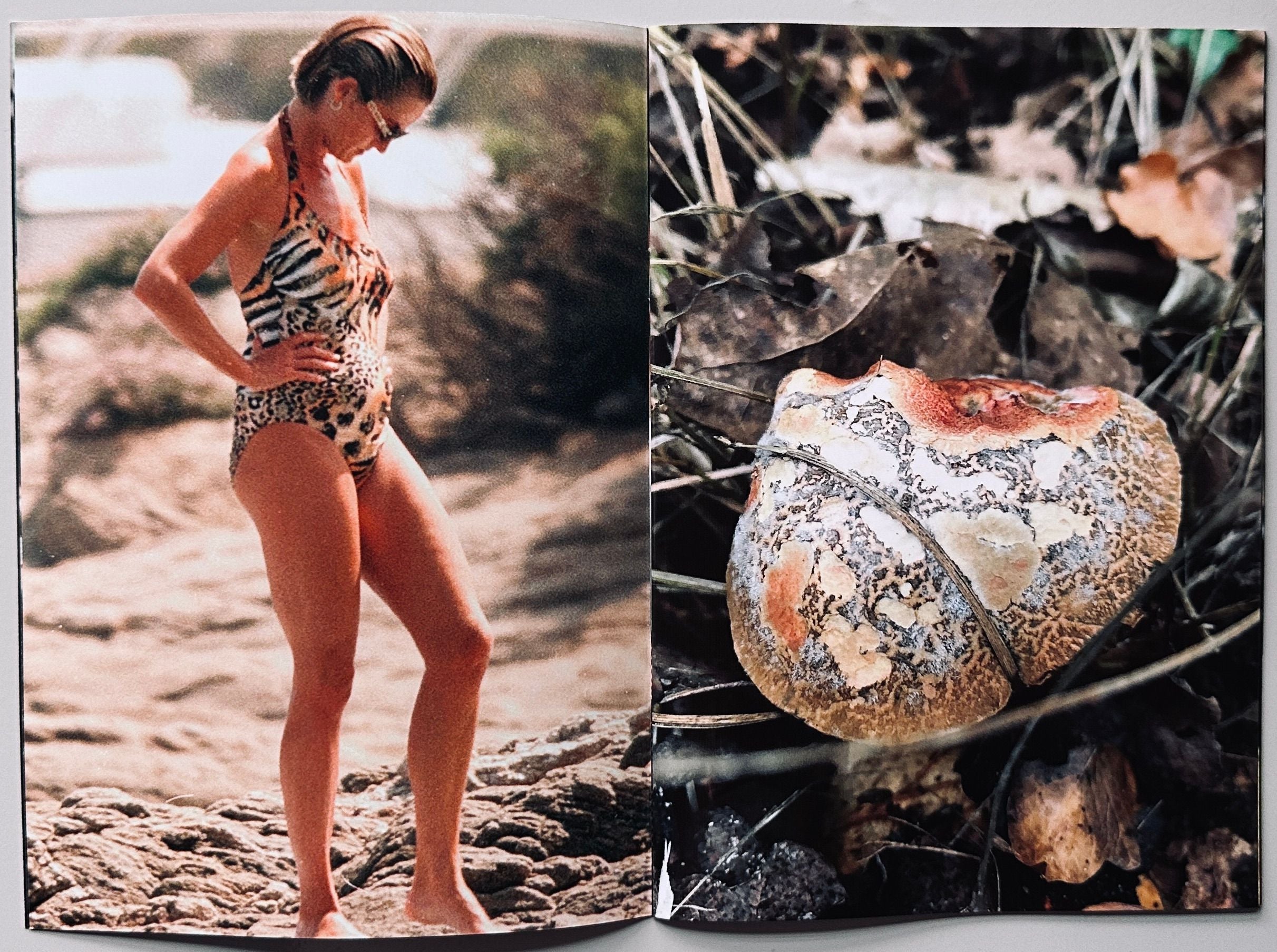 Princess Diana as Mushrooms Volume 2