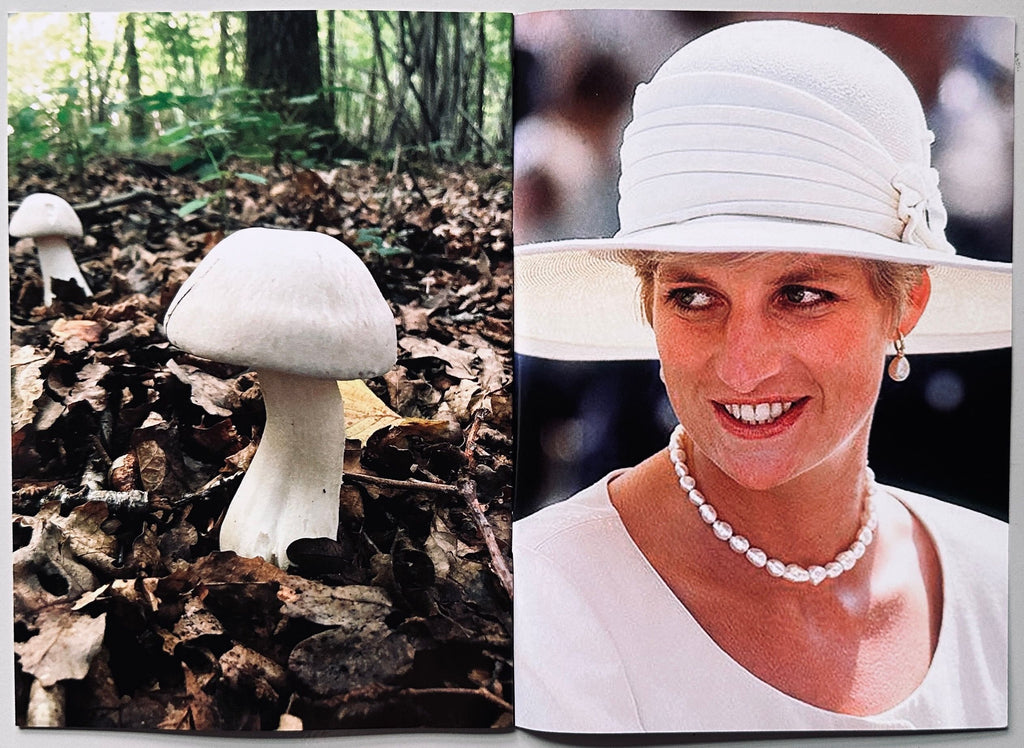 Princess Diana as Mushrooms Volume 2