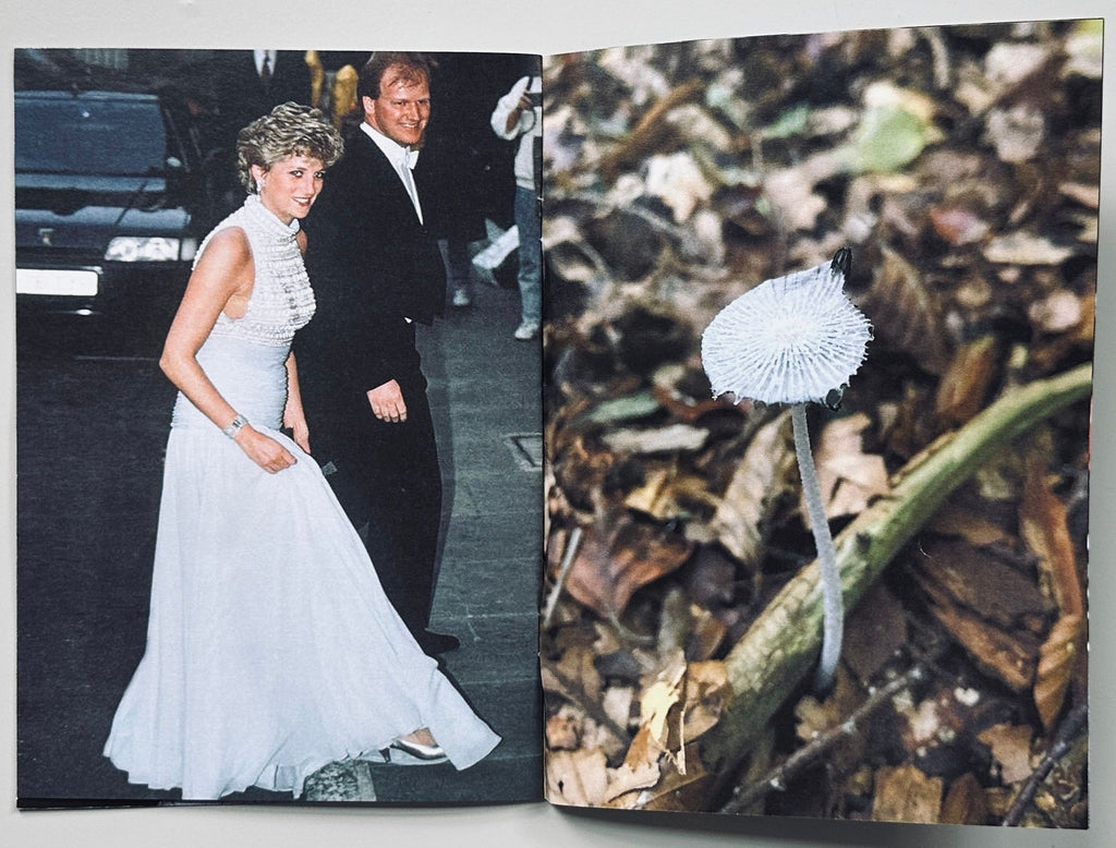 Princess Diana as Mushrooms