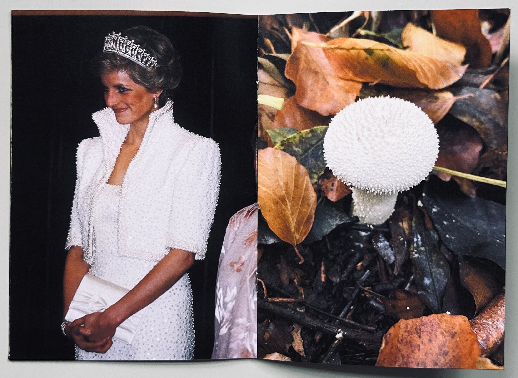 Princess Diana as Mushrooms