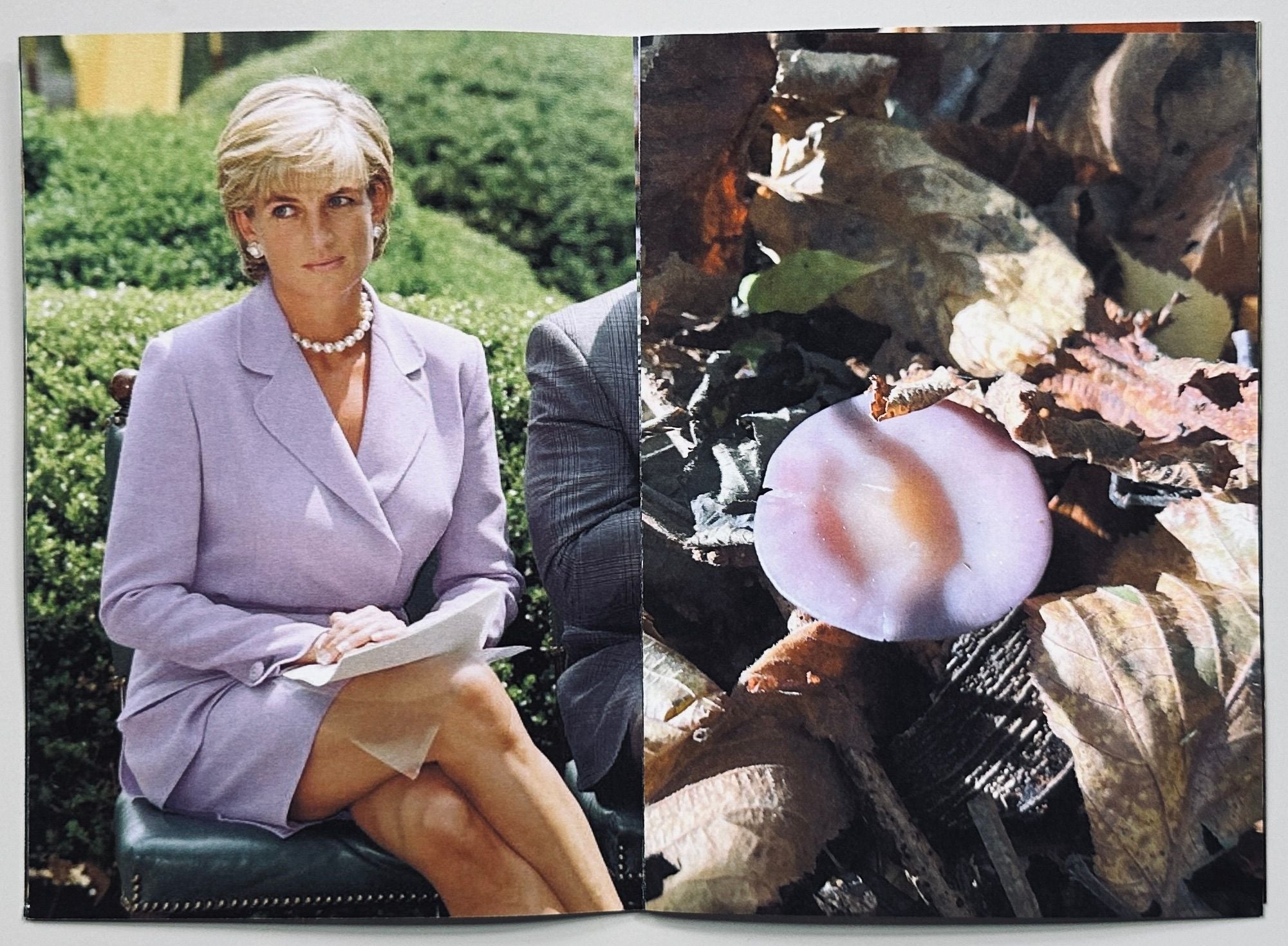 Princess Diana as Mushrooms