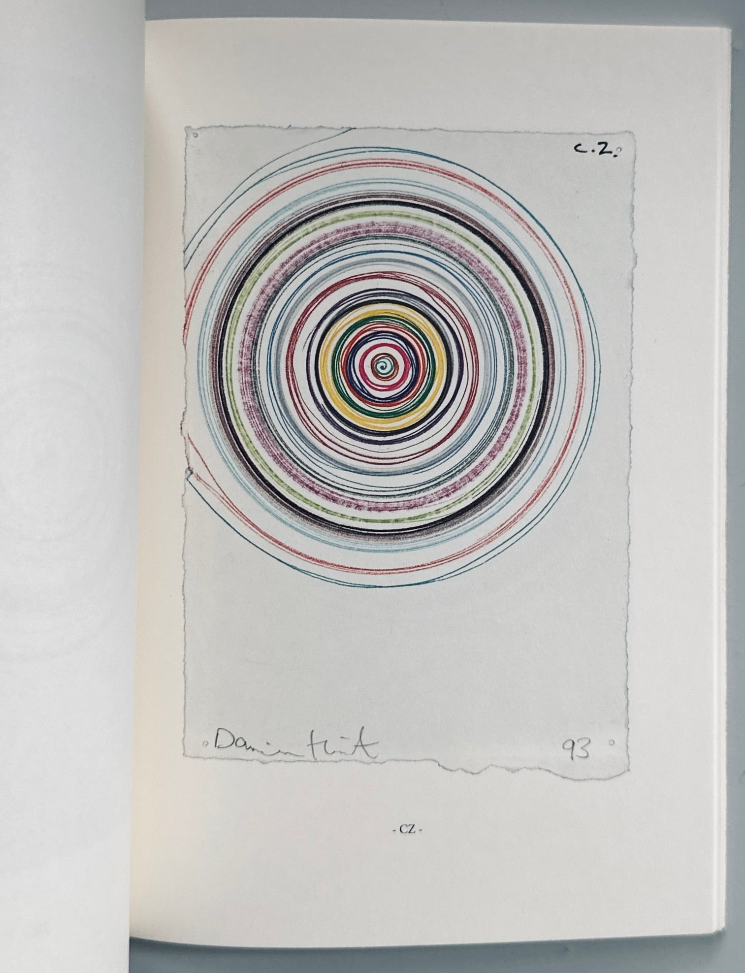 [SIGNED] DAMIEN HIRST MAKING BEAUTIFUL DRAWINGS