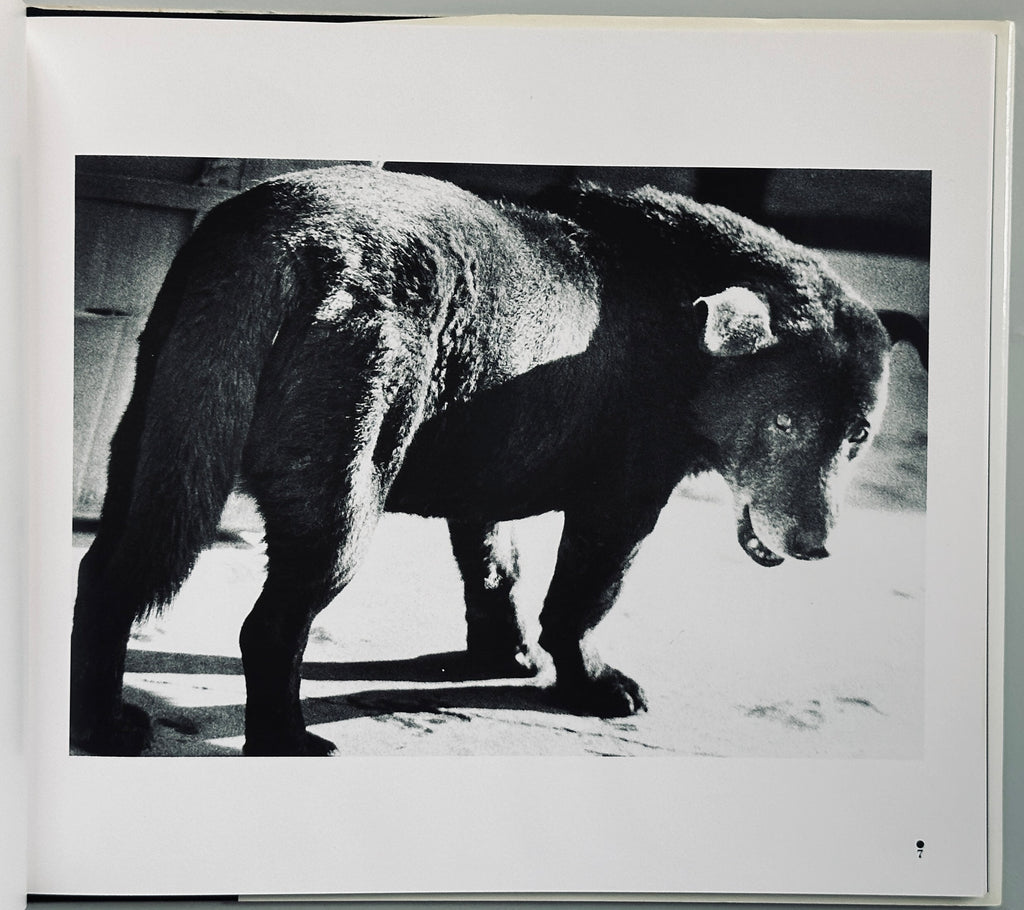 [SIGNED] DAIDO MORIYAMA 1970-1979