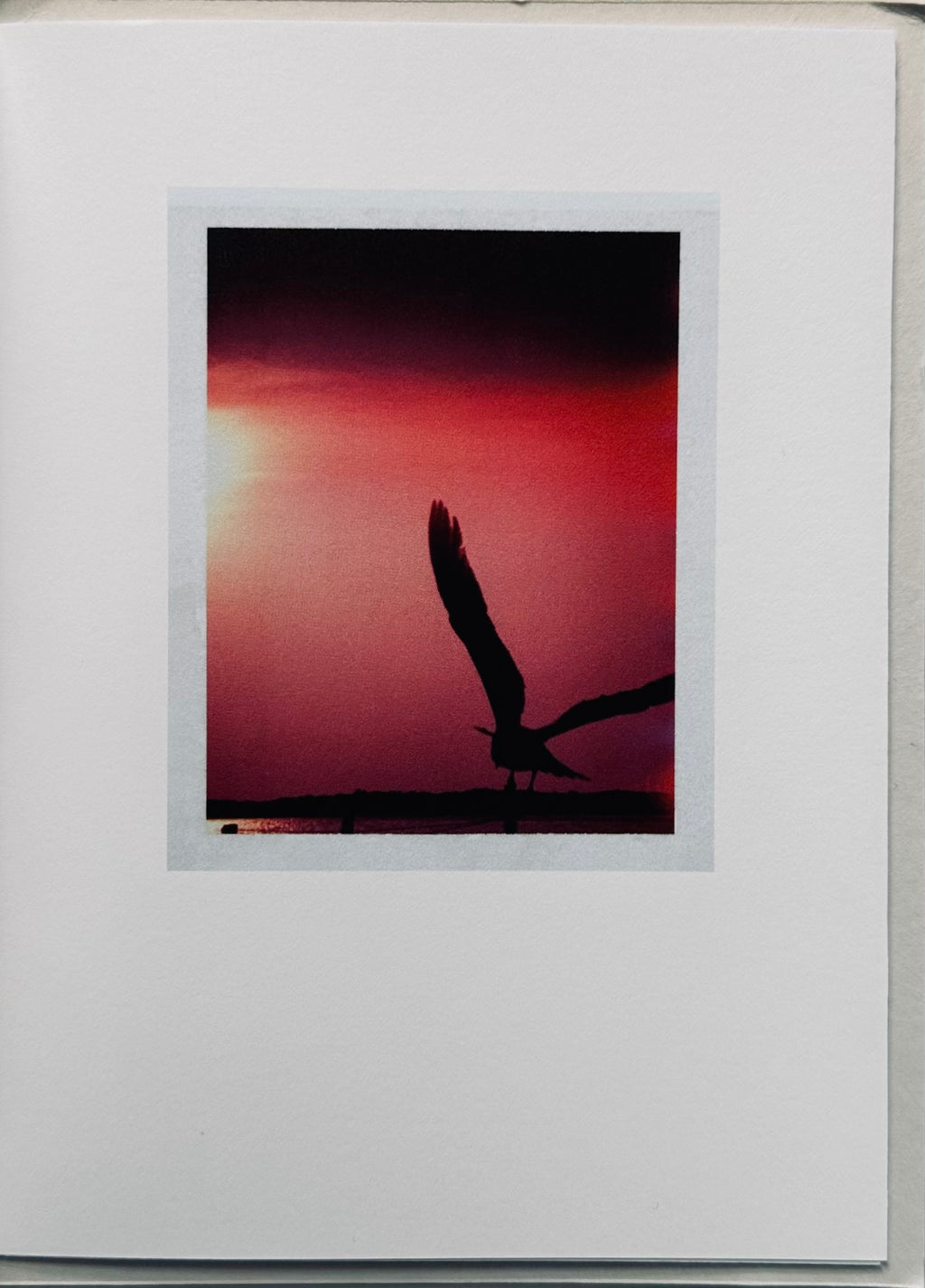 [SIGNED] MARK BORTHWICK BIRD'S SET SUN'S
