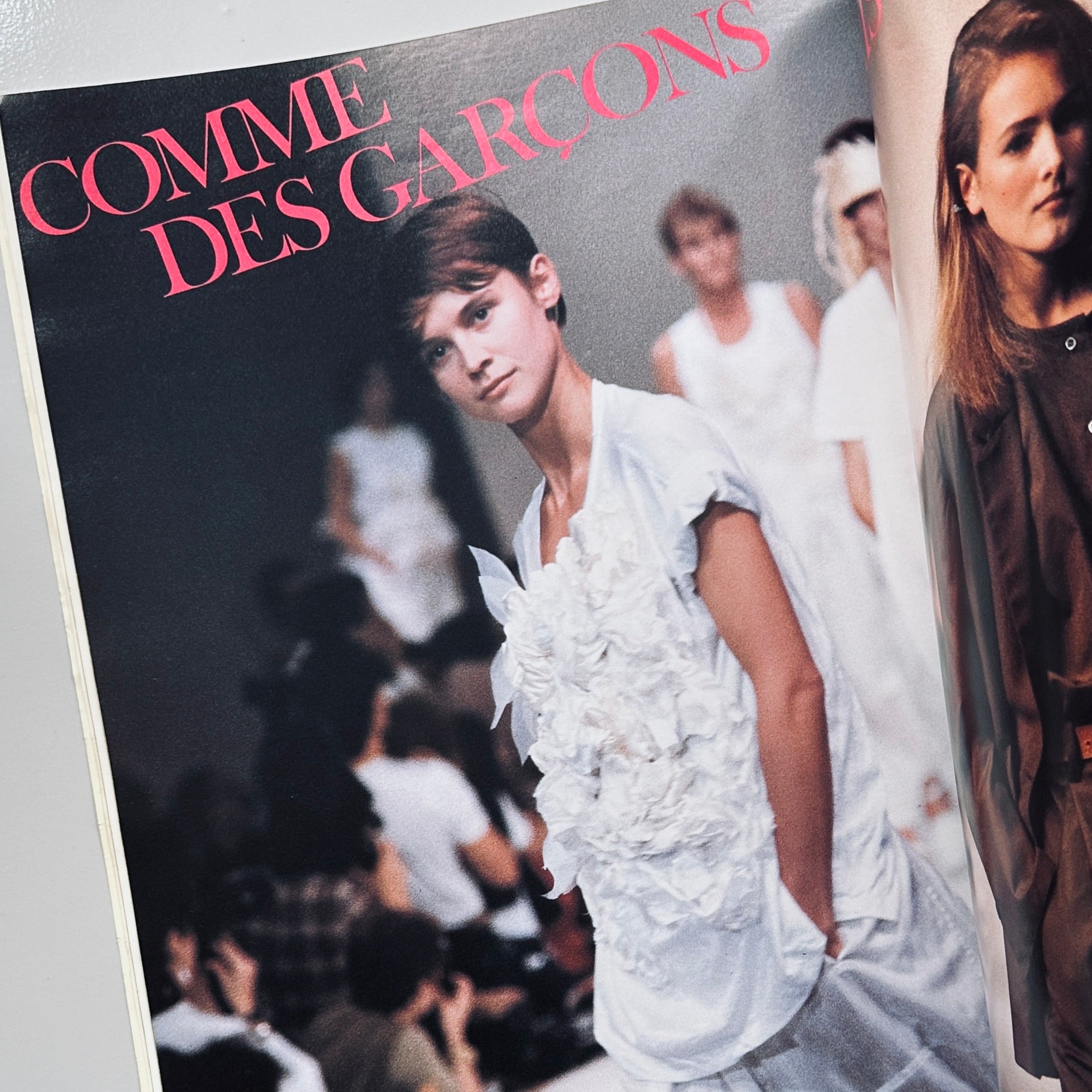 La Revue des Phenomenes April 1985