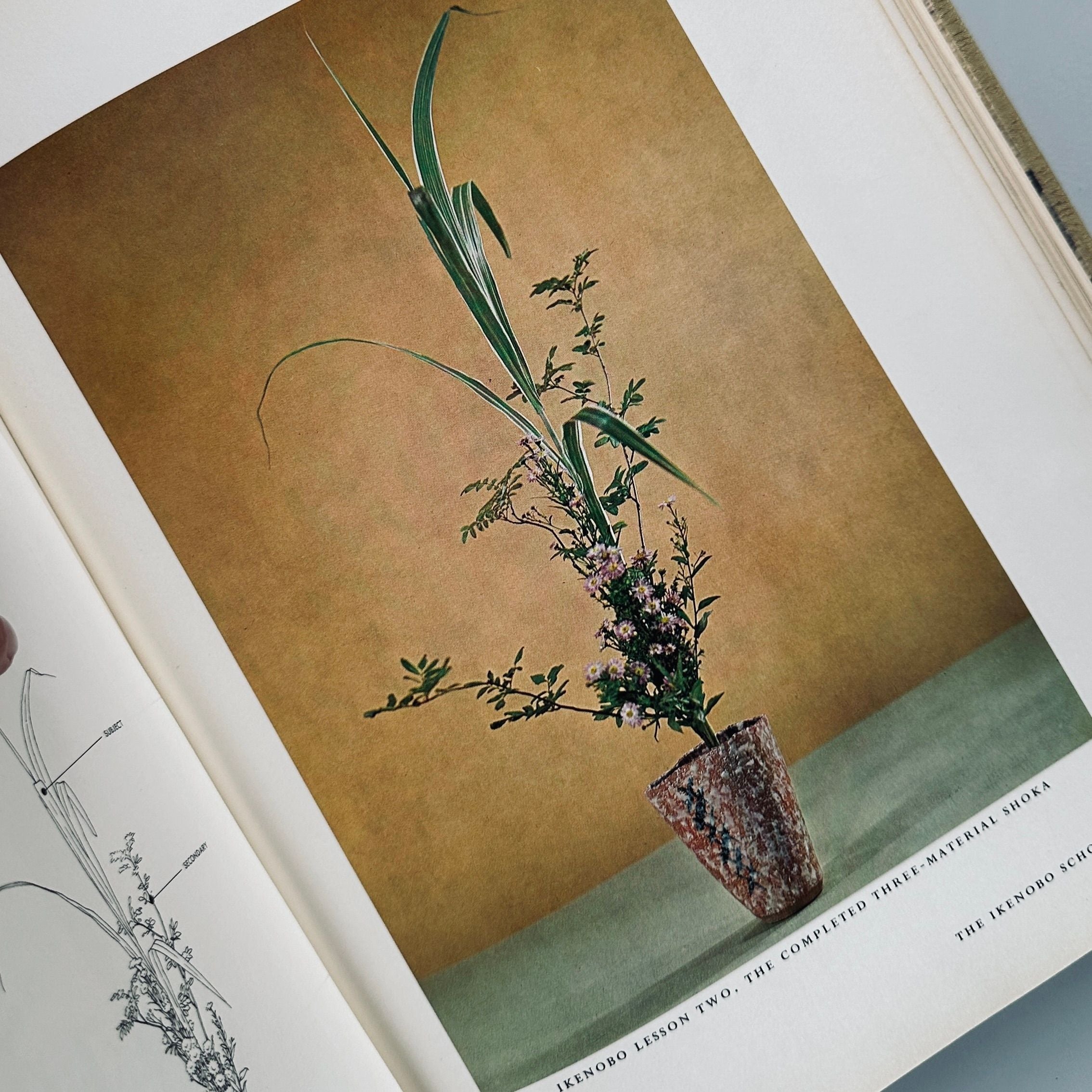 The Masters Book of Ikebana