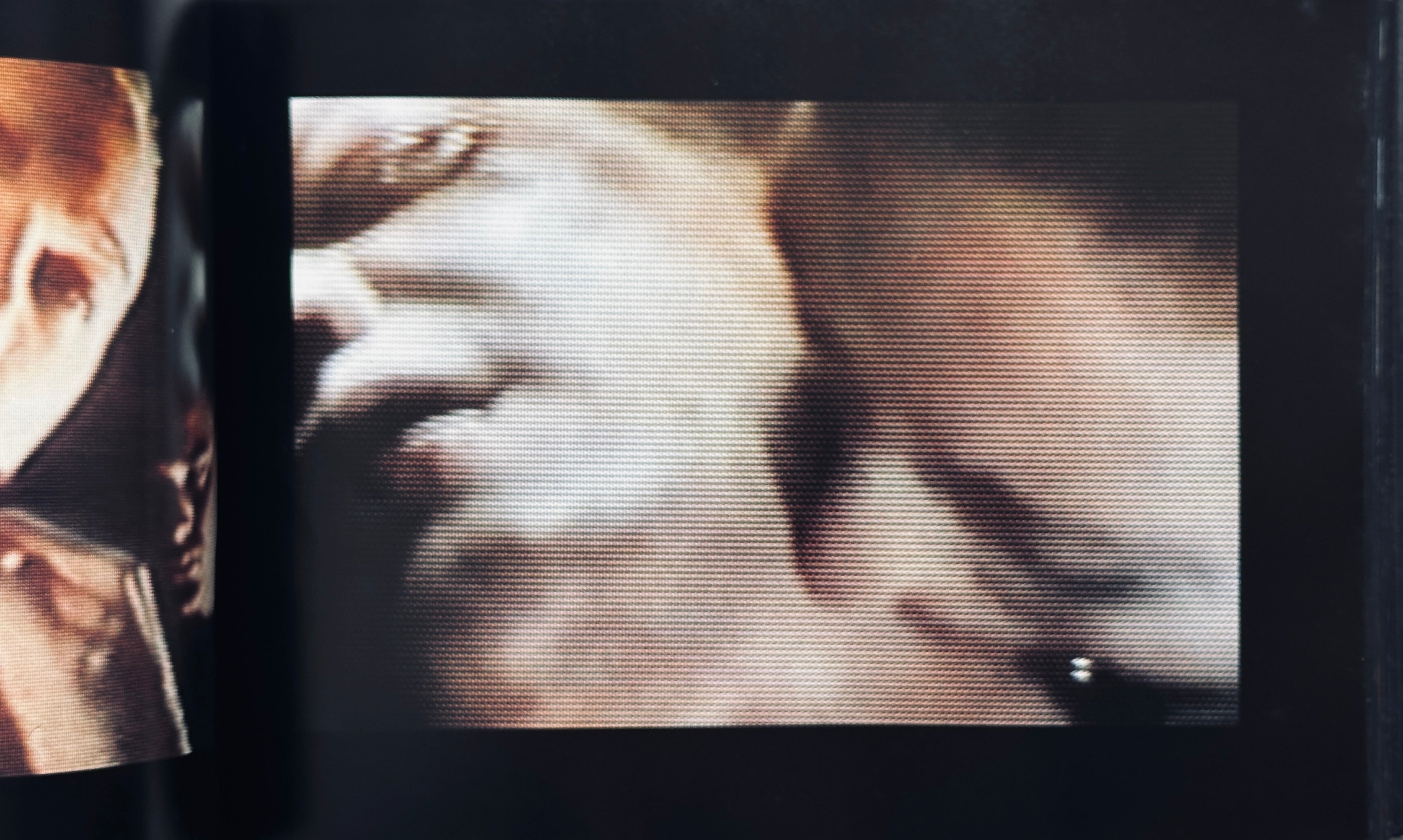 Freeze Frame Derek Jarman