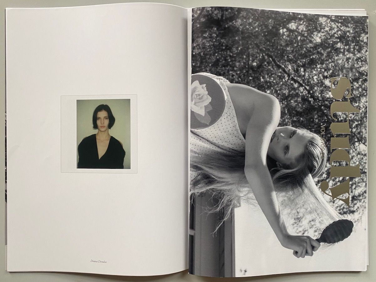 Study Volume 8 - On Models as Cultural Markers