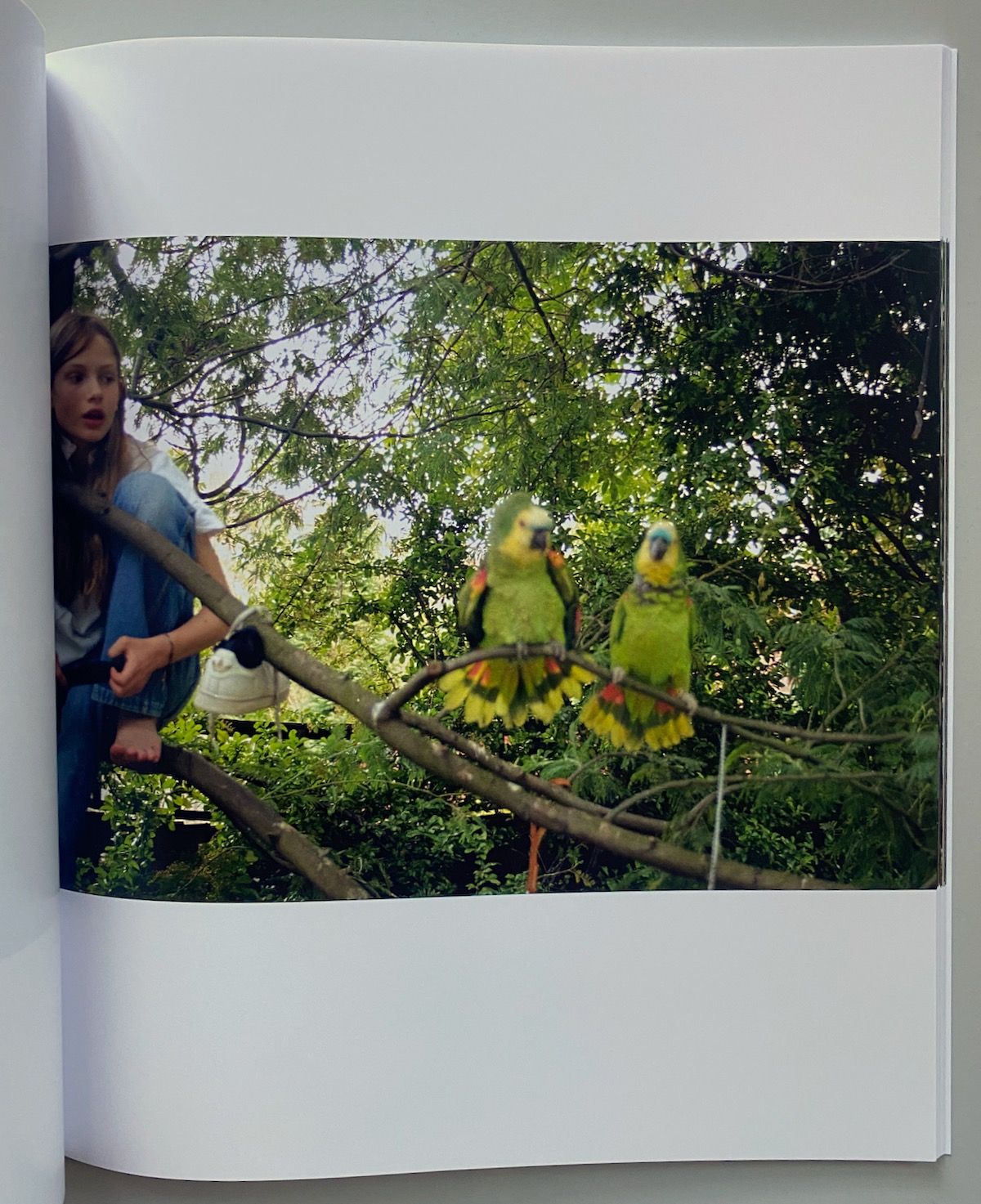 Angela Hill Sylvia Zine – IDEA