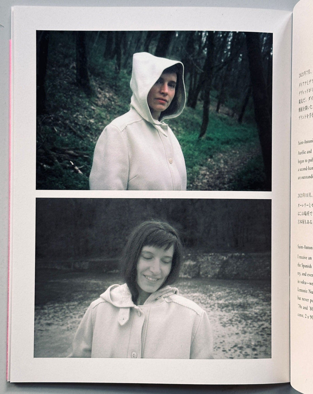 Elein Fleiss L'Hiver