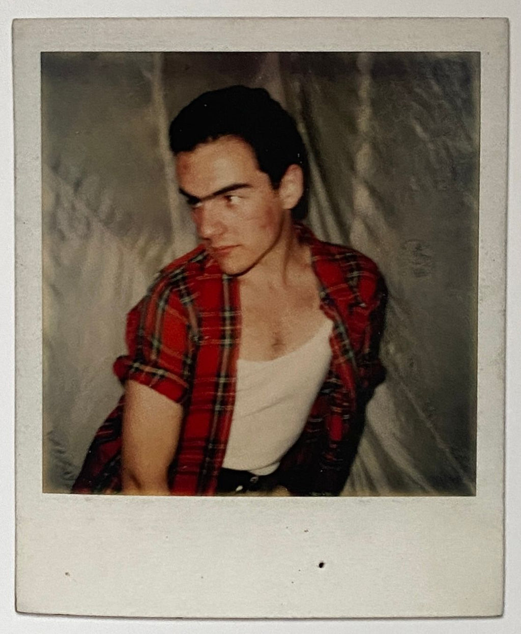 David Armstrong Polaroids