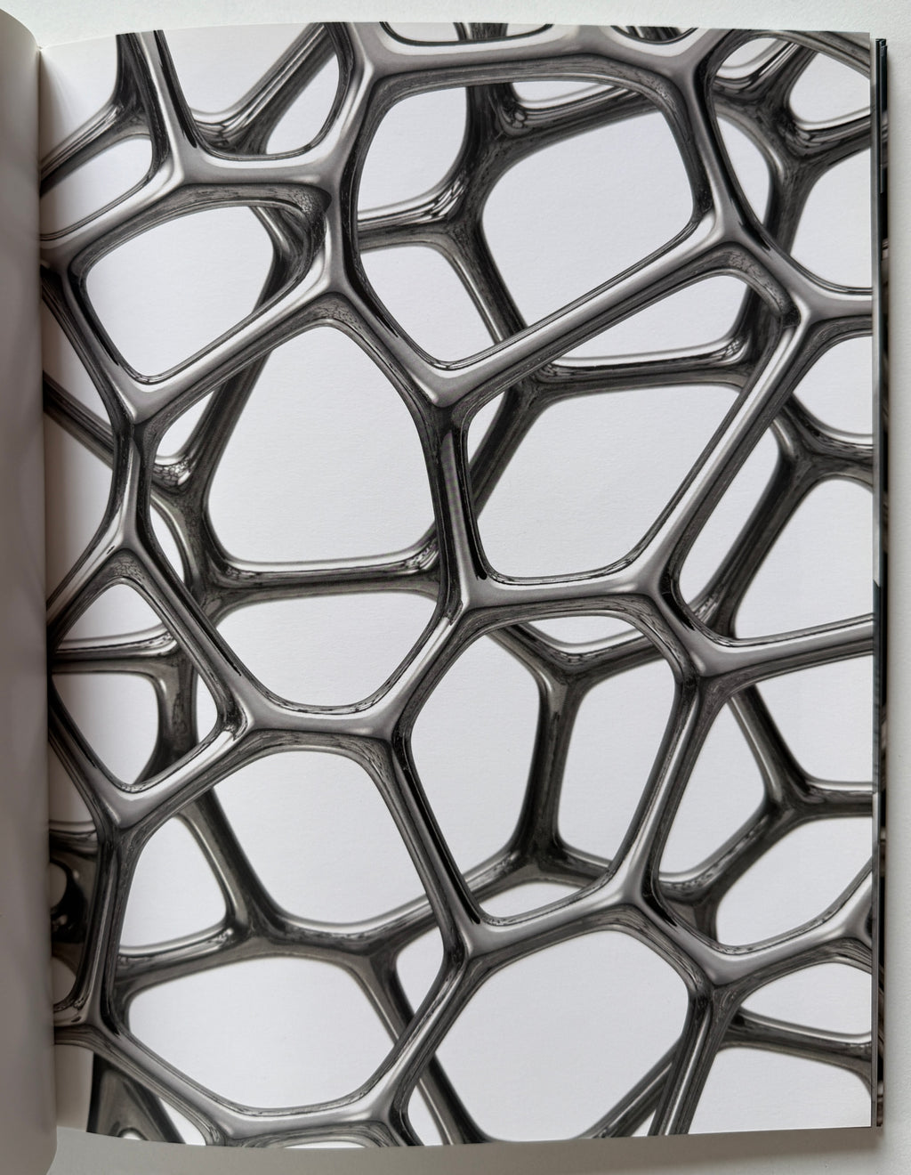 Marc Newson Gagosian 2009