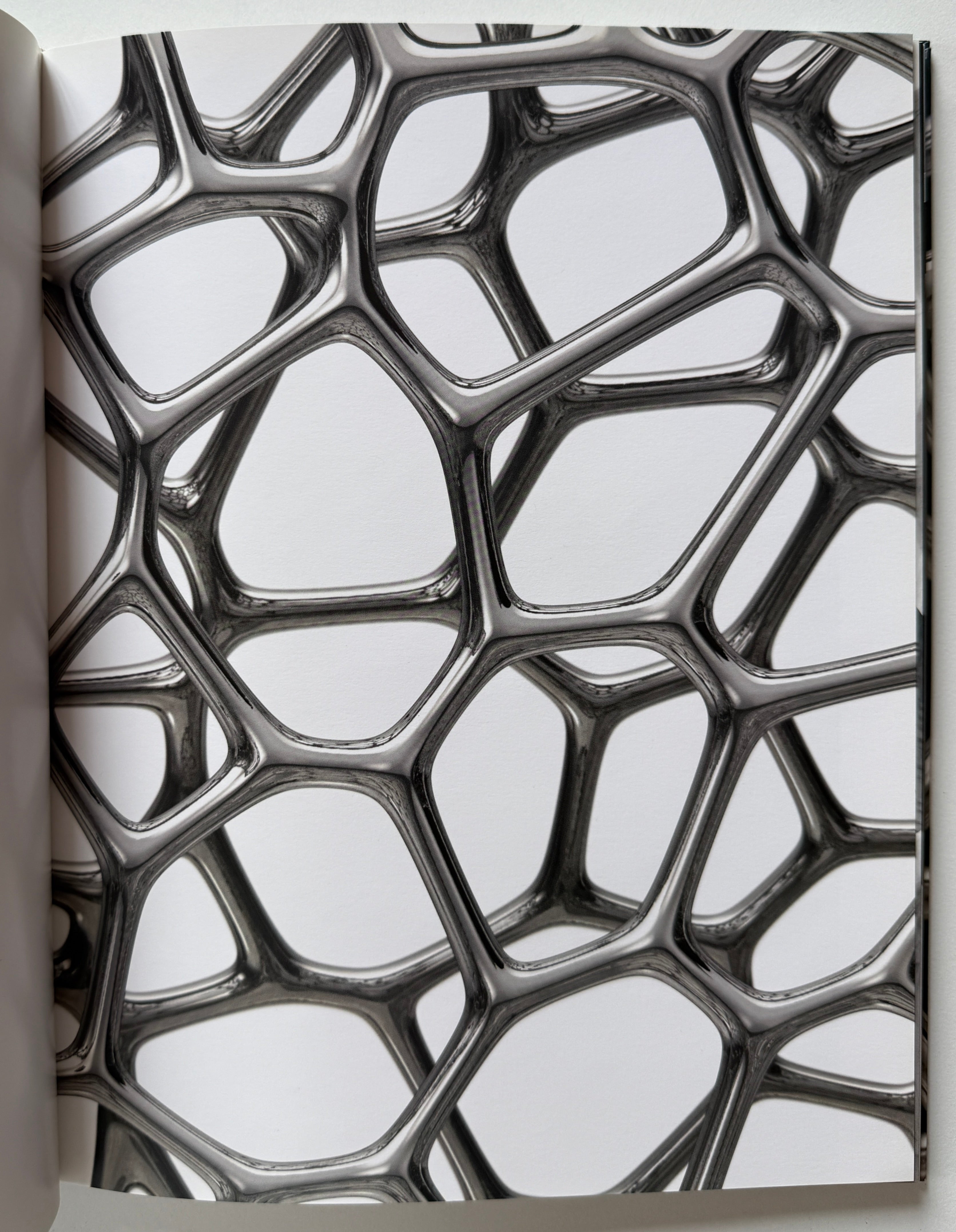 Marc Newson Gagosian 2009