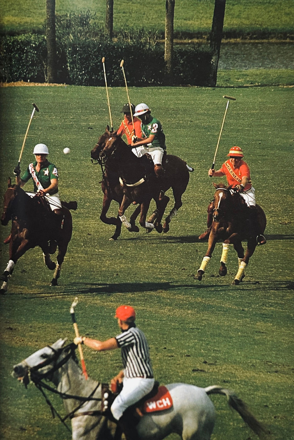 Chakkar The Magazine of Polo Around The World Issue One