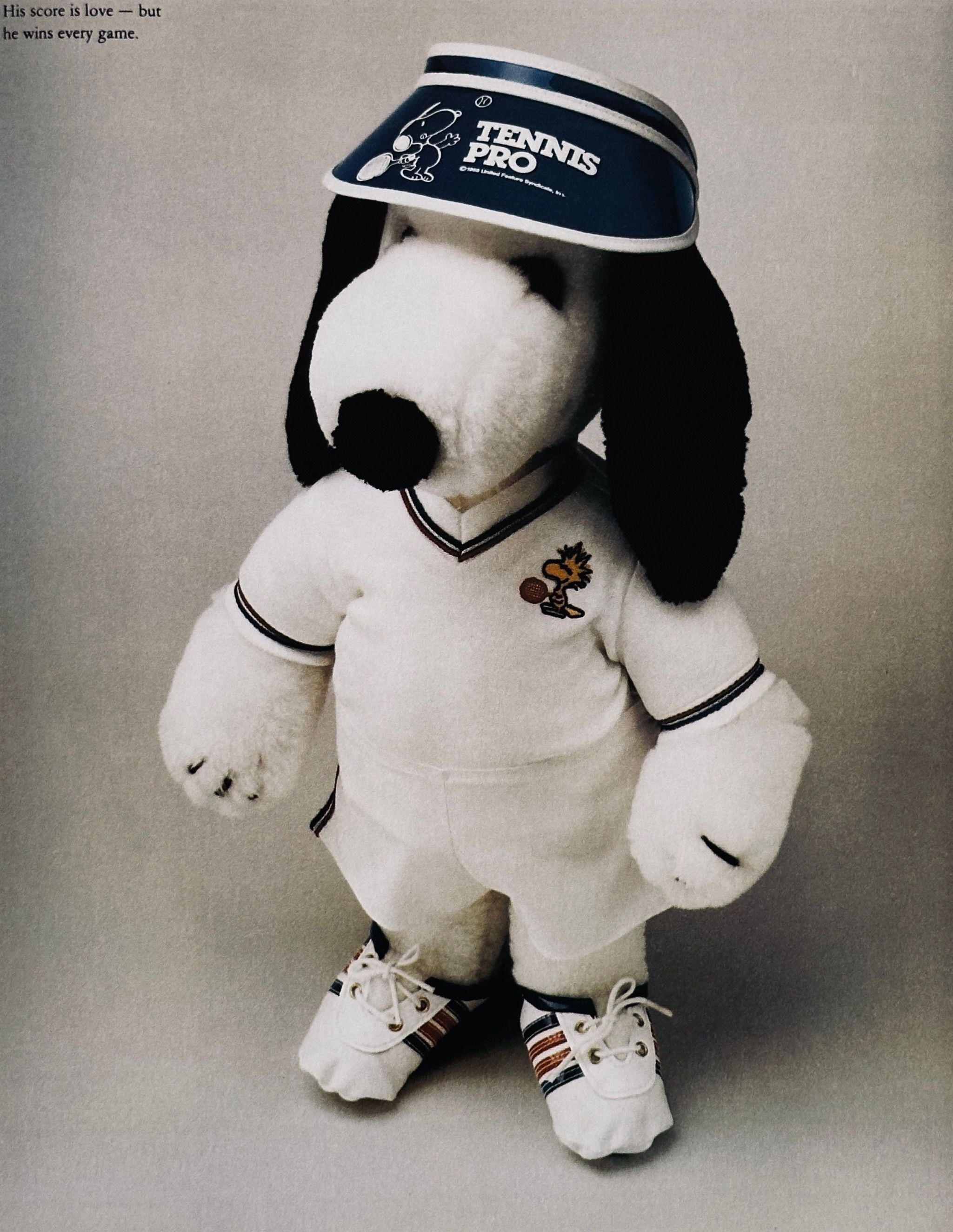 The Snoopy Collection