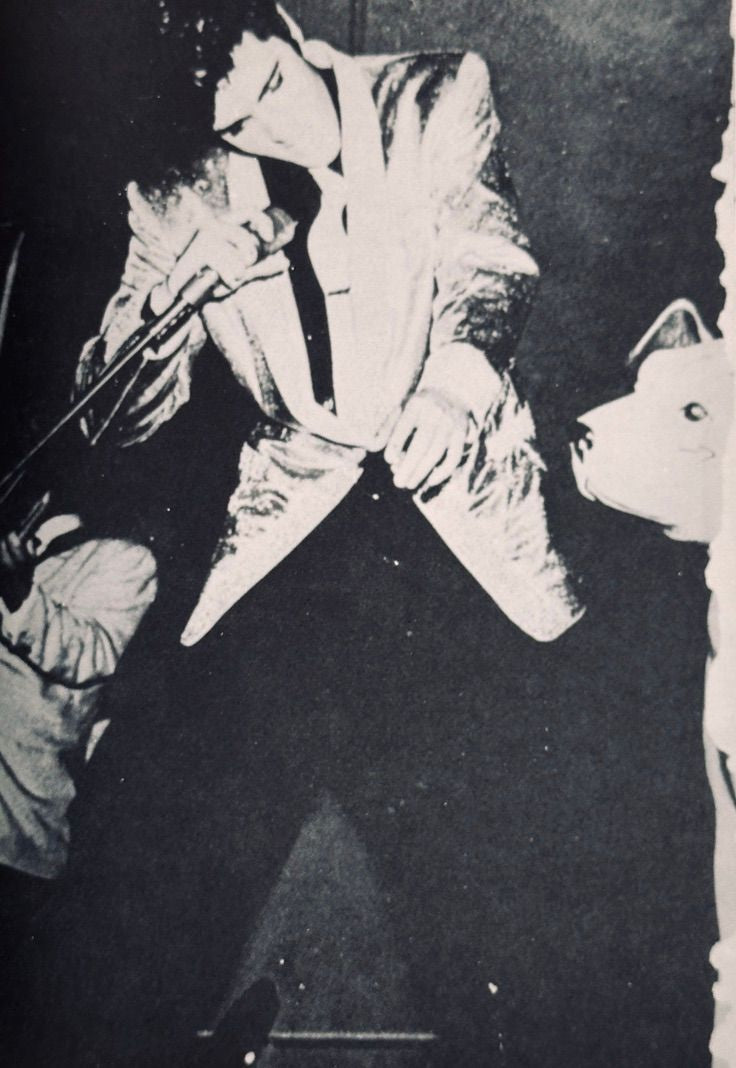 Elvis The King