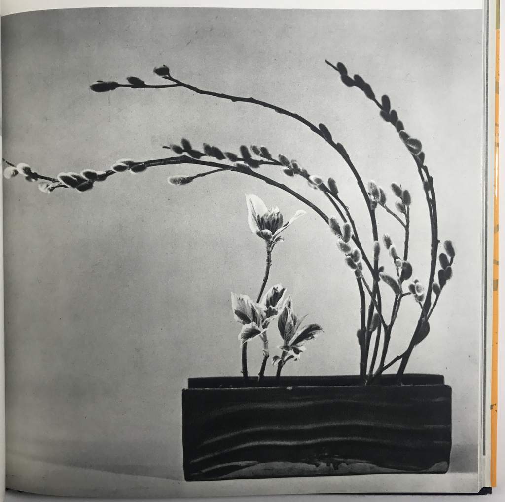 The Best of Ikebana