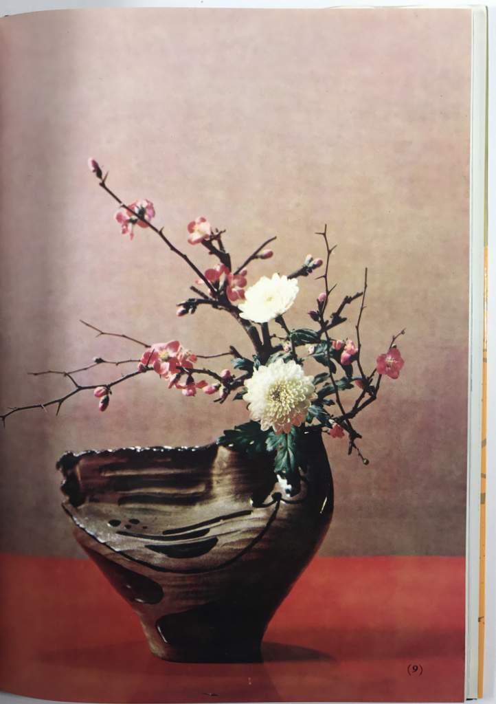 The Best of Ikebana