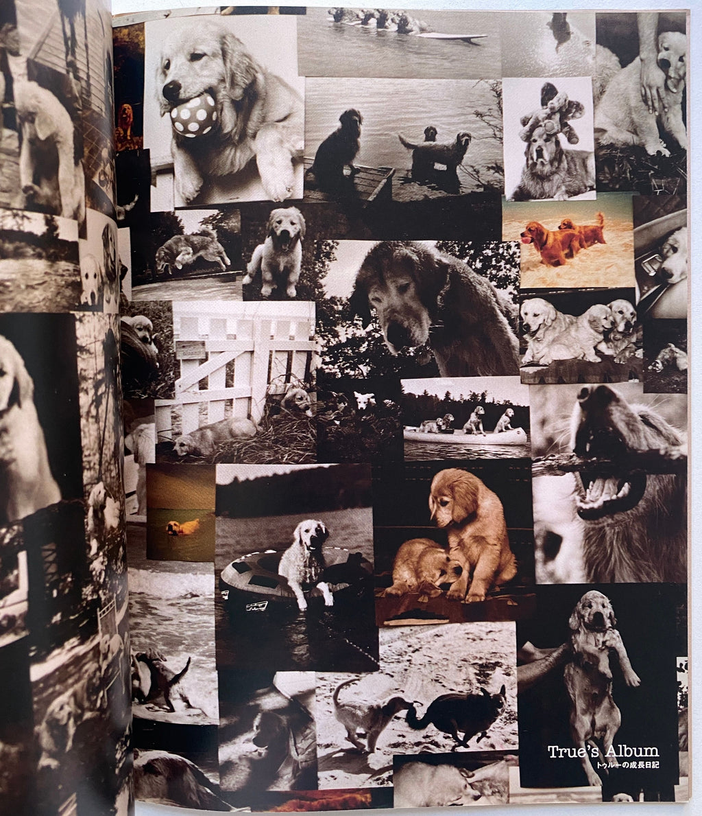 A Letter To True Bruce Weber