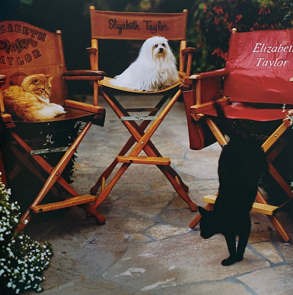 A Letter To True Bruce Weber