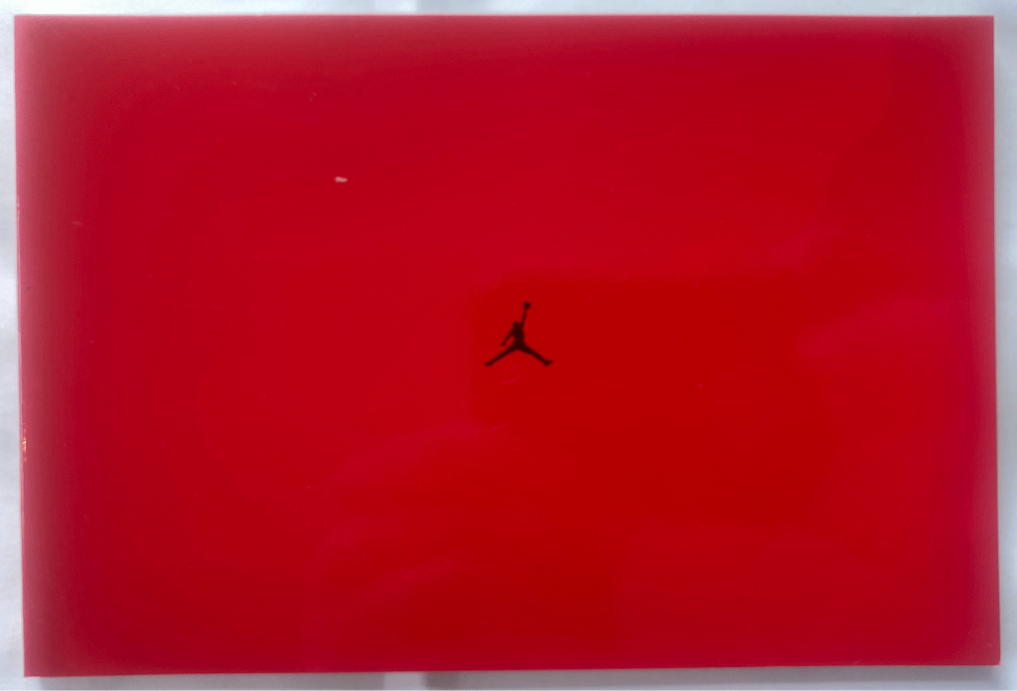 Nike Air Jordan book